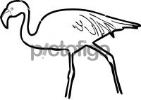 Jamess FlamingoFreehand Image